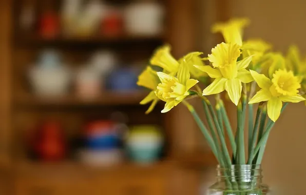 Picture bouquet, daffodils, bokeh