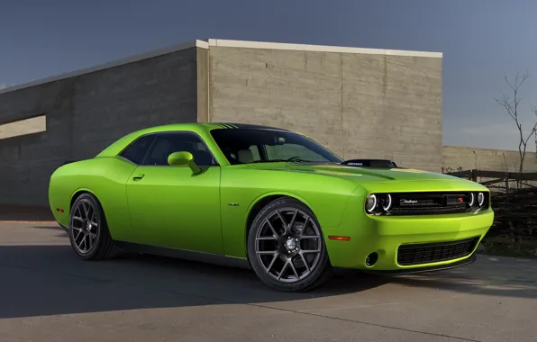 Picture 392, Hemi, pack_shaker_1, scat, dodge_challenger