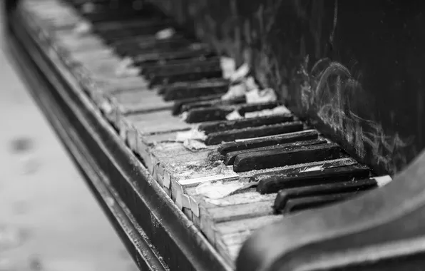 Macro, music, piano