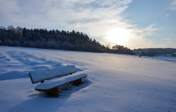 Field, snow, bench
