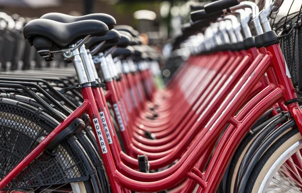 Picture bike, the city, street