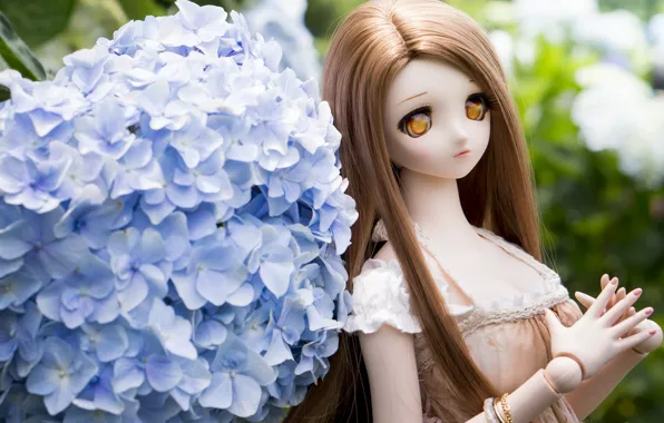 Toy, doll, hydrangea