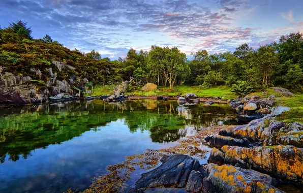 Picture trees, lake, stones, Norway, Norway, Rogaland, Lindøy