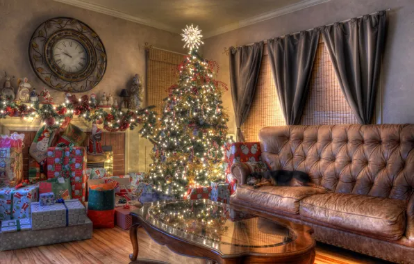 Picture sofa, holiday, watch, tree, new year, dog, Christmas, gifts