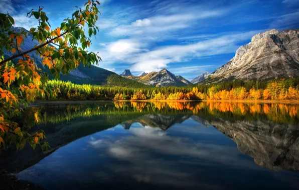 Picture autumn, leaves, landscape, mountains, branches, nature, lake, reflection