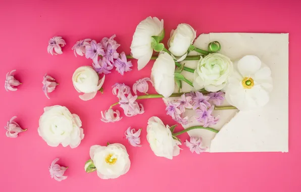 Flowers, petals, pink, white, white, pink, flowers, composition