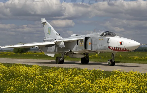 Picture Flight, Bomber, Su-24, Ukraine Air Force, ATO