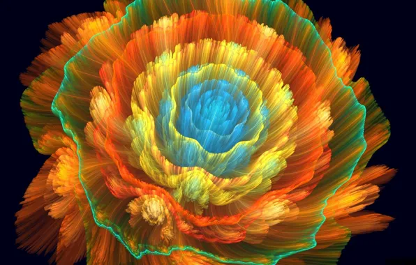 Picture flower, orange, background
