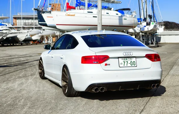 Audi, white, wheels, rear