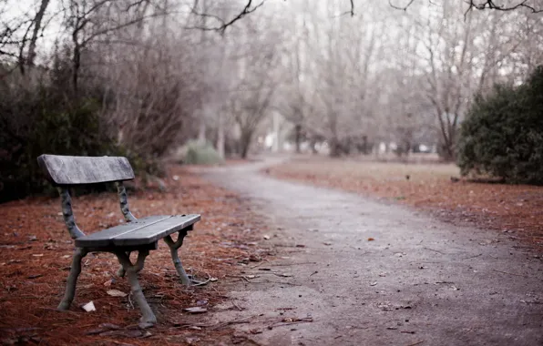 Autumn, the city, Park, bench