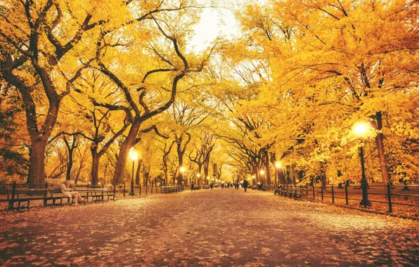 Picture autumn, leaves, trees, Park, lights, lampposts, benches people
