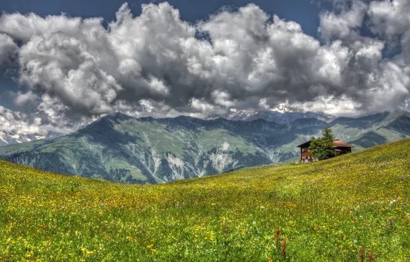 Picture grass, landscape, flowers, mountains, house, meadow