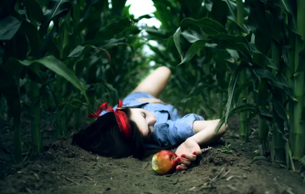 Field, girl, background, earth, Wallpaper, Apple
