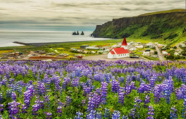 Sea, field, summer, clouds, flowers, rocks, shore, meadow