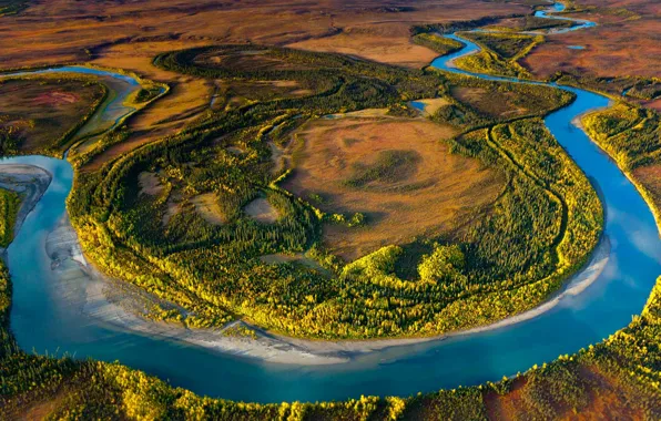 Trees, landscape, river, Alaska, USA, reserve, Arctic National Park
