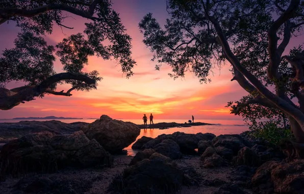 Trees, sunset, pair, silhouettes