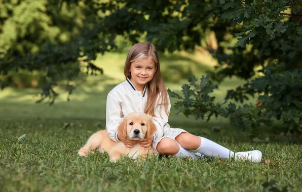 Summer, grass, branches, nature, pose, glade, foliage, dog