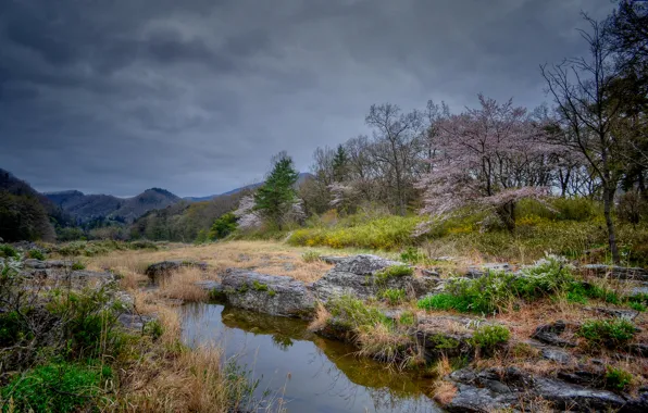 Picture trees, clouds, hills, spring, flowering, pond