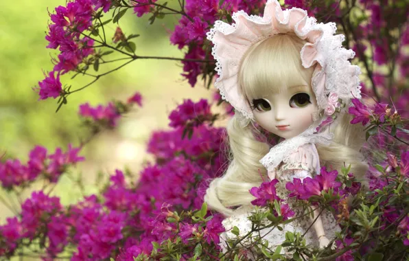 Picture toy, doll, azaleas