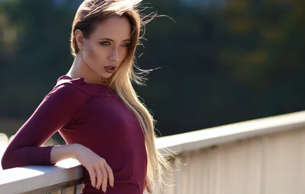 Picture chest, sponge, DesignPictures, Nicoles Finest