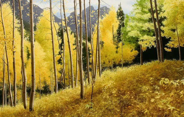 Autumn, mountains, picture, peace, September, aspen