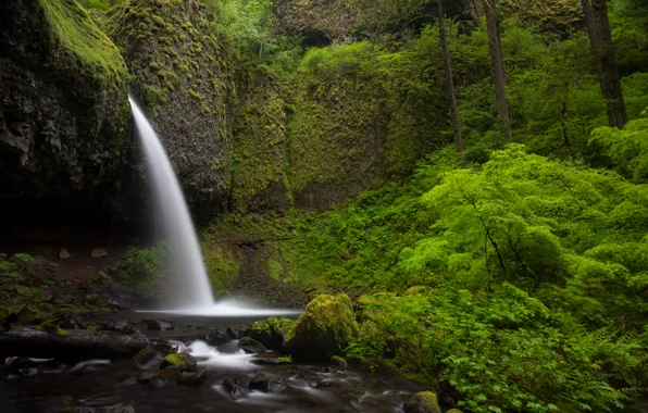 Nature, stones, rocks, green, plant, waterfall, nature, waterfalls