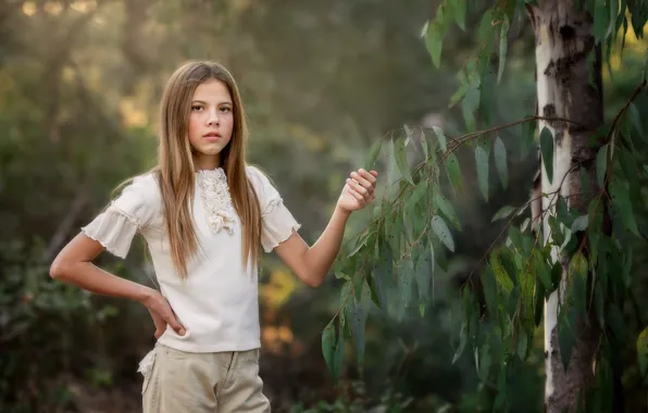 Leaves, trees, girl, eucalyptus, Edie Layland