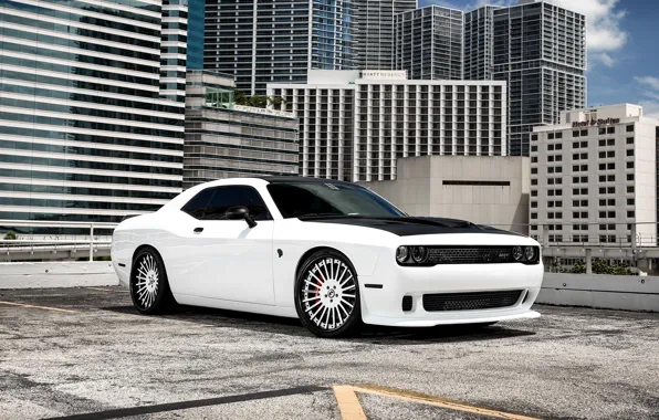 Picture Dodge, Challenger, wheels, Hellcat, Forgiato