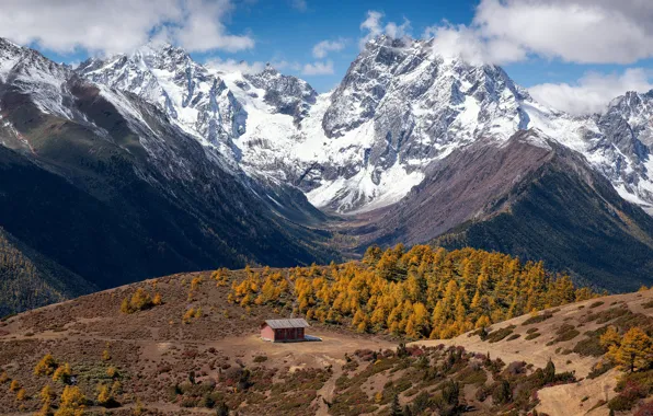 Autumn, forest, snow, mountains, the slopes, tops, height, Alps