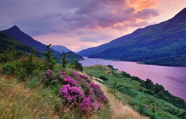 Summer, grass, color, clouds, sunset, flowers, clouds, river