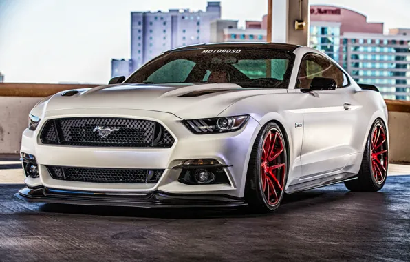 Picture Mustang, Ford, Mustang, Ford, Motoroso