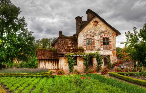 Picture the sky, clouds, trees, landscape, flowers, nature, house, plants