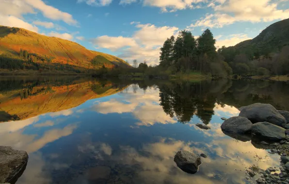 Autumn, forest, reflection, shore, pond