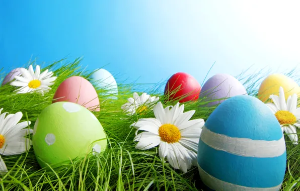 The sky, grass, light, flowers, eggs, spring, Easter