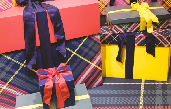 Holiday, box, gift, tape, gifts, bows, bow, box