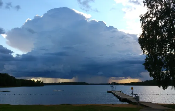 Picture forest, the sky, trees, landscape, clouds, nature, lake, rain