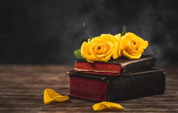 Flowers, the dark background, books, roses, bouquet, yellow, petals, still life