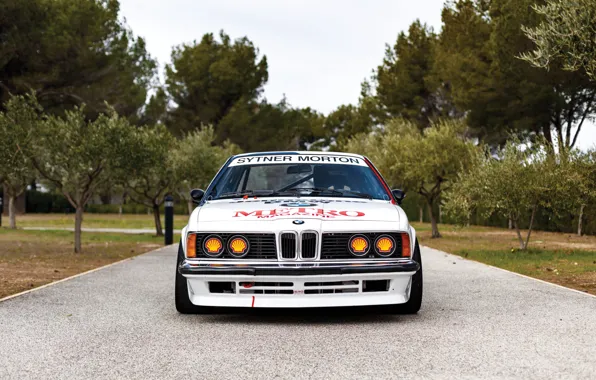 Trees, BMW, Bumper, Lights, Classic car, Icon, Sports car, 1983