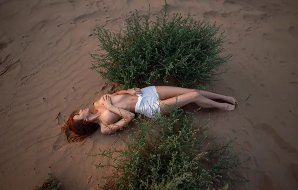 CHEST, SAND, SHORTS, RED, The BUSHES, DESERT