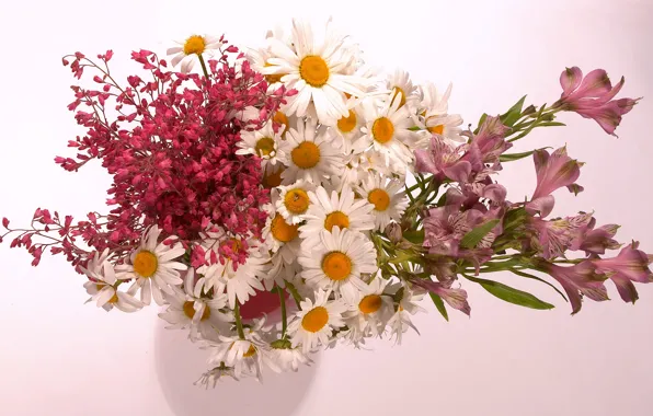 Wallpaper, chamomile, bouquet, vase