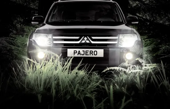 Picture grass, lights, Mitsubishi, fern, Pajero, night