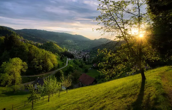 Forest, trees, sunset, mountains, spring, Germany, valley, village