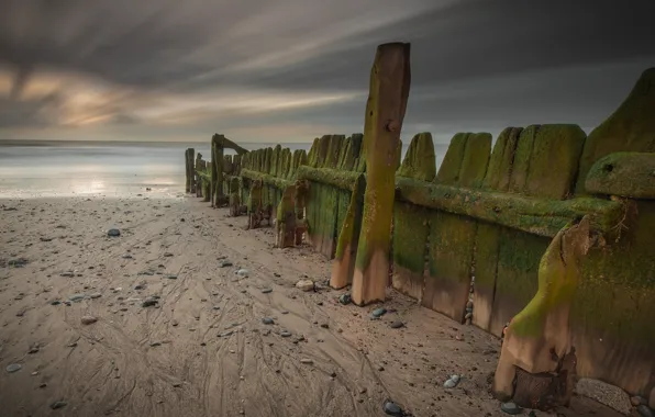 Sea, coast, the fence, England, moss, morning, England, East Yorkshire