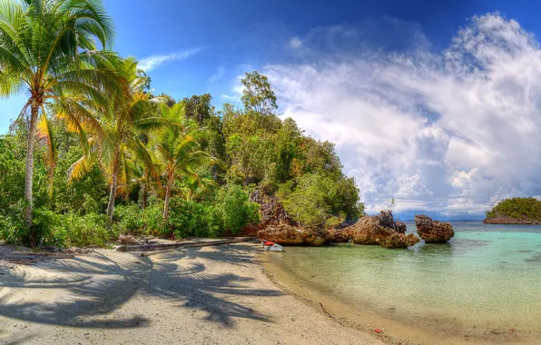 Sand, sea, the sky, the sun, clouds, trees, tropics, stones