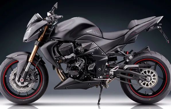 Picture Kawasaki, Rizoma, Z series