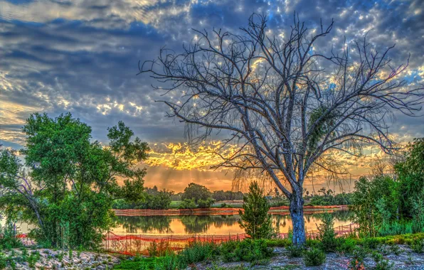 Picture the sky, the sun, clouds, trees, lake, dawn, HDR, CA