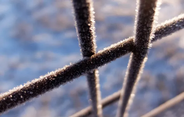 Snow, line, mood, the fence, frost, New year, sunlight
