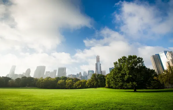 The sky, clouds, trees, New York, USA, lawn, Central Park