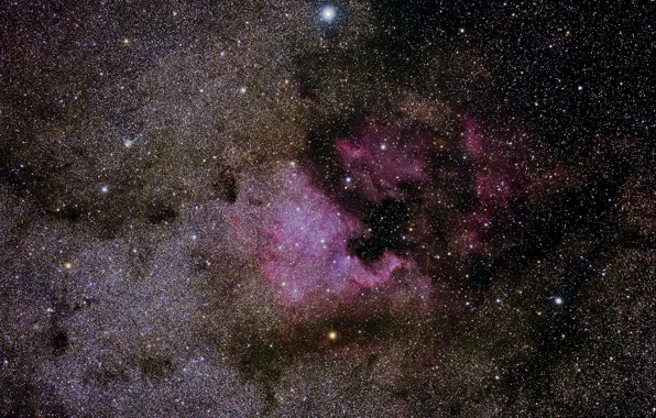 Stars, nebula, North America, in the constellation Swan