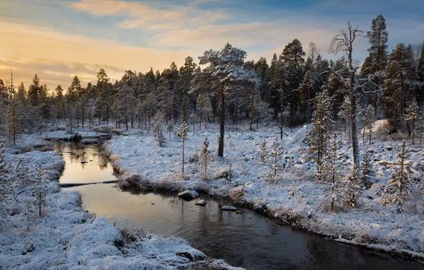 Picture winter, river, morning